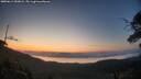 ./images/calvert/fitz-hugh-hecate/20250614/fitz-hugh-hecate20250614_050008M.jpg
