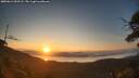 ./images/calvert/fitz-hugh-hecate/20250614/fitz-hugh-hecate20250614_053505M.jpg