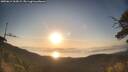 ./images/calvert/fitz-hugh-hecate/20250614/fitz-hugh-hecate20250614_063009M.jpg