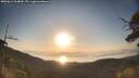 ./images/calvert/fitz-hugh-hecate/20250614/fitz-hugh-hecate20250614_064010M.jpg