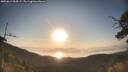 ./images/calvert/fitz-hugh-hecate/20250614/fitz-hugh-hecate20250614_064509M.jpg