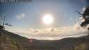 ./images/calvert/fitz-hugh-hecate/20250614/fitz-hugh-hecate20250614_073011M.jpg