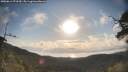 ./images/calvert/fitz-hugh-hecate/20250614/fitz-hugh-hecate20250614_073510M.jpg