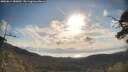 ./images/calvert/fitz-hugh-hecate/20250614/fitz-hugh-hecate20250614_080012M.jpg