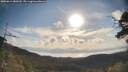 ./images/calvert/fitz-hugh-hecate/20250614/fitz-hugh-hecate20250614_080510M.jpg