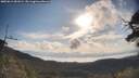 ./images/calvert/fitz-hugh-hecate/20250614/fitz-hugh-hecate20250614_081009M.jpg