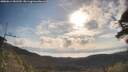 ./images/calvert/fitz-hugh-hecate/20250614/fitz-hugh-hecate20250614_081509M.jpg