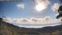 ./images/calvert/fitz-hugh-hecate/20250614/fitz-hugh-hecate20250614_083010M.jpg