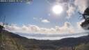 ./images/calvert/fitz-hugh-hecate/20250614/fitz-hugh-hecate20250614_084010M.jpg