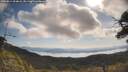 ./images/calvert/fitz-hugh-hecate/20250614/fitz-hugh-hecate20250614_094008M.jpg