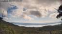 ./images/calvert/fitz-hugh-hecate/20250614/fitz-hugh-hecate20250614_095009M.jpg