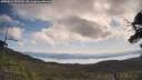 ./images/calvert/fitz-hugh-hecate/20250614/fitz-hugh-hecate20250614_095509M.jpg
