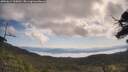 ./images/calvert/fitz-hugh-hecate/20250614/fitz-hugh-hecate20250614_100012M.jpg