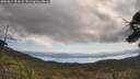 ./images/calvert/fitz-hugh-hecate/20250614/fitz-hugh-hecate20250614_101508M.jpg
