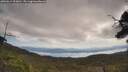 ./images/calvert/fitz-hugh-hecate/20250614/fitz-hugh-hecate20250614_103010M.jpg