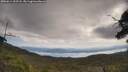 ./images/calvert/fitz-hugh-hecate/20250614/fitz-hugh-hecate20250614_103508M.jpg