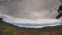 ./images/calvert/fitz-hugh-hecate/20250614/fitz-hugh-hecate20250614_104010M.jpg