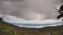 ./images/calvert/fitz-hugh-hecate/20250614/fitz-hugh-hecate20250614_104511M.jpg