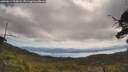 ./images/calvert/fitz-hugh-hecate/20250614/fitz-hugh-hecate20250614_105008M.jpg