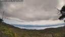 ./images/calvert/fitz-hugh-hecate/20250614/fitz-hugh-hecate20250614_105510M.jpg