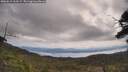 ./images/calvert/fitz-hugh-hecate/20250614/fitz-hugh-hecate20250614_110509M.jpg