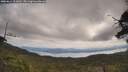 ./images/calvert/fitz-hugh-hecate/20250614/fitz-hugh-hecate20250614_111010M.jpg
