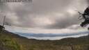 ./images/calvert/fitz-hugh-hecate/20250614/fitz-hugh-hecate20250614_111509M.jpg
