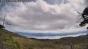 ./images/calvert/fitz-hugh-hecate/20250614/fitz-hugh-hecate20250614_112510M.jpg