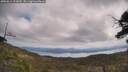 ./images/calvert/fitz-hugh-hecate/20250614/fitz-hugh-hecate20250614_113010M.jpg