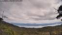 ./images/calvert/fitz-hugh-hecate/20250614/fitz-hugh-hecate20250614_114010M.jpg