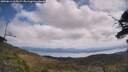 ./images/calvert/fitz-hugh-hecate/20250614/fitz-hugh-hecate20250614_115009M.jpg