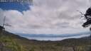 ./images/calvert/fitz-hugh-hecate/20250614/fitz-hugh-hecate20250614_115509M.jpg