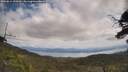./images/calvert/fitz-hugh-hecate/20250614/fitz-hugh-hecate20250614_120510M.jpg