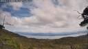 ./images/calvert/fitz-hugh-hecate/20250614/fitz-hugh-hecate20250614_124010M.jpg