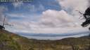 ./images/calvert/fitz-hugh-hecate/20250614/fitz-hugh-hecate20250614_125509M.jpg