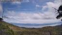 ./images/calvert/fitz-hugh-hecate/20250614/fitz-hugh-hecate20250614_130510M.jpg