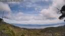 ./images/calvert/fitz-hugh-hecate/20250614/fitz-hugh-hecate20250614_131010M.jpg