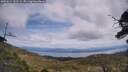 ./images/calvert/fitz-hugh-hecate/20250614/fitz-hugh-hecate20250614_131508M.jpg