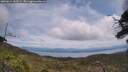 ./images/calvert/fitz-hugh-hecate/20250614/fitz-hugh-hecate20250614_132509M.jpg