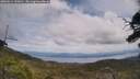 ./images/calvert/fitz-hugh-hecate/20250614/fitz-hugh-hecate20250614_133010M.jpg