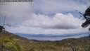 ./images/calvert/fitz-hugh-hecate/20250614/fitz-hugh-hecate20250614_133509M.jpg