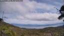 ./images/calvert/fitz-hugh-hecate/20250614/fitz-hugh-hecate20250614_134009M.jpg