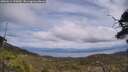 ./images/calvert/fitz-hugh-hecate/20250614/fitz-hugh-hecate20250614_135010M.jpg