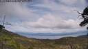 ./images/calvert/fitz-hugh-hecate/20250614/fitz-hugh-hecate20250614_135510M.jpg