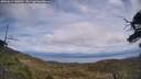 ./images/calvert/fitz-hugh-hecate/20250614/fitz-hugh-hecate20250614_140011M.jpg