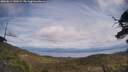 ./images/calvert/fitz-hugh-hecate/20250614/fitz-hugh-hecate20250614_140509M.jpg
