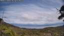 ./images/calvert/fitz-hugh-hecate/20250614/fitz-hugh-hecate20250614_141010M.jpg