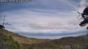 ./images/calvert/fitz-hugh-hecate/20250614/fitz-hugh-hecate20250614_141510M.jpg
