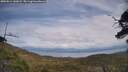 ./images/calvert/fitz-hugh-hecate/20250614/fitz-hugh-hecate20250614_142008M.jpg
