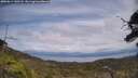 ./images/calvert/fitz-hugh-hecate/20250614/fitz-hugh-hecate20250614_142508M.jpg